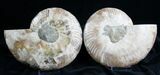 Wide Split Ammonite Pair - Agatized #7226-3